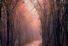 乐鱼体育：[棋牌]乐弈场第41场周赛 辛俊浩斩获积分实力双榜冠军.