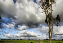 乐鱼体育:队记:快船球迷对本场裁判组很不满意,但他们却没喊出“裁判,你太烂了”的口号.