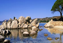 乐鱼体育:中国青年报客户端03-18.